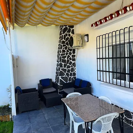 Girasol Malaga